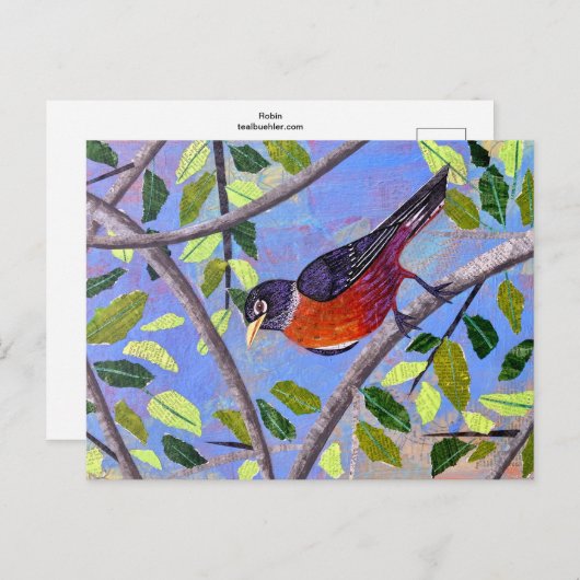 Robin Postkarte (Vorne/Hinten)