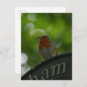 Robin Postkarte (Vorne/Hinten)