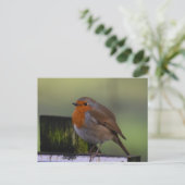Robin Postkarte (Stehend Vorderseite)