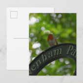 Robin Postkarte (Vorne/Hinten)