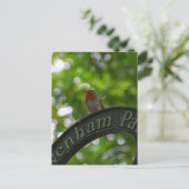 Robin Postkarte (Stehend Vorderseite)
