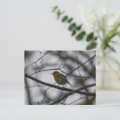 Robin  postkarte (Stehend Vorderseite)
