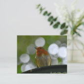 Robin Postkarte (Stehend Vorderseite)
