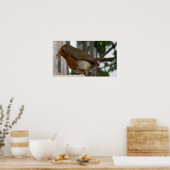 Robin Print Poster (Küche)