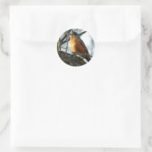 Robin Profile Classic Round Aufkleber (Tasche)