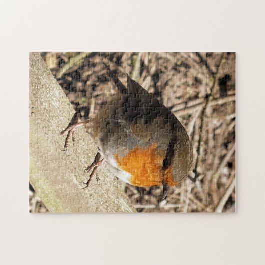 ROBIN PUZZLE (Horizontal)