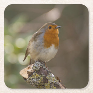Robin Rechteckiger Pappuntersetzer