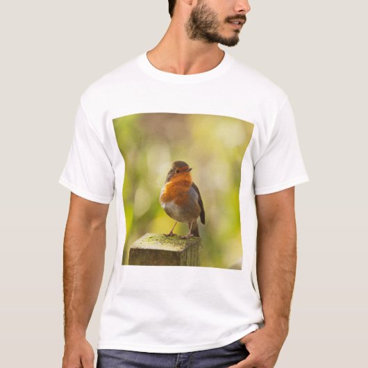 Robin red breast bird T-Shirt (Vorderseite)