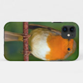 Robin Red Breast Case-Mate iPhone Hülle (Rückseite (Horizontal))