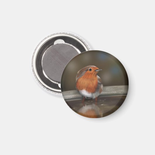 Robin Red Breast Enjoying a Bath Magnet (Vorderseite/Rückseite)