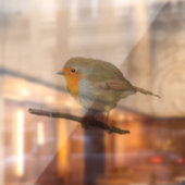 Robin Redamming Window Clying Fensteraufkleber (Blatt 2)