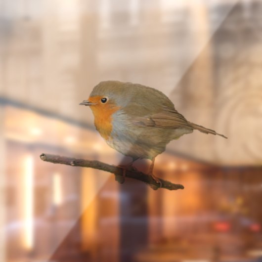 Robin Redamming Window Clying Fensteraufkleber (Blatt 2)