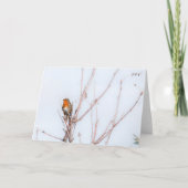 Robin RedammNote Karte (Vorderseite)