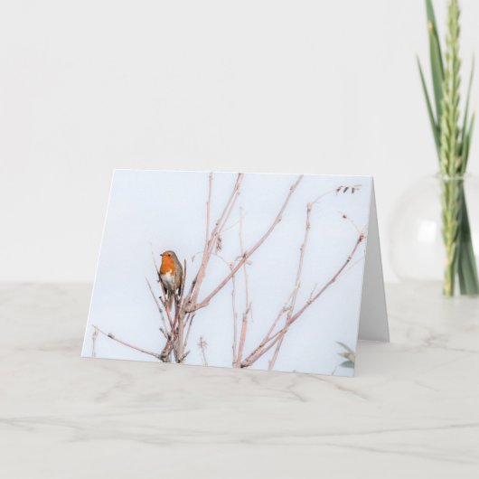 Robin RedammNote Karte (Vorderseite)