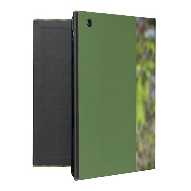 Robin Redbreast Etui Fürs iPad (Rückseite)