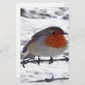 Robin RedBrust Briefpapier (Vorne/Hinten)