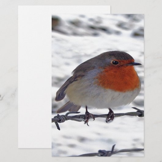 Robin RedBrust Briefpapier (Vorne/Hinten)