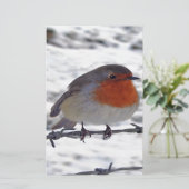 Robin RedBrust Briefpapier (Stehend Vorderseite)