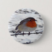 Robin RedBrust Button (Vorderseite)