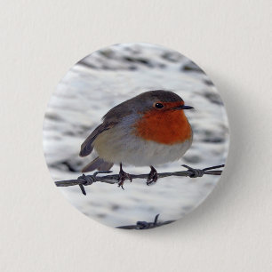 Robin RedBrust Button
