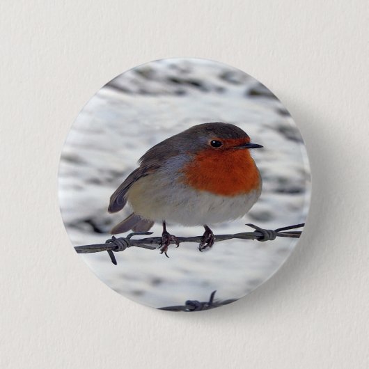 Robin RedBrust Button (Vorderseite)