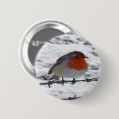 Robin RedBrust Button (Vorne & Hinten)