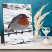 Robin RedBrust Fotoplatte (Seite)