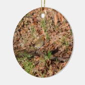 Robin RedBrust Keramik Ornament (Links)