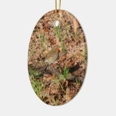 Robin RedBrust Keramikornament (Links)