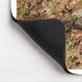 Robin RedBrust Mousepad (Ecke)