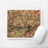 Robin RedBrust Mousepad (Mit Mouse)