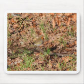 Robin RedBrust Mousepad (Vorne)
