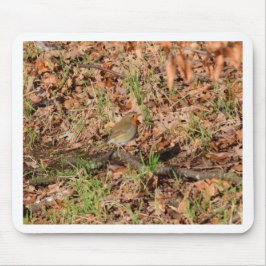 Robin RedBrust Mousepad