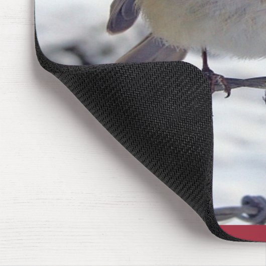 Robin RedBrust Mousepad (Ecke)