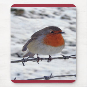 Robin RedBrust Mousepad