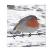 Robin RedBrust Notizblock (Vorderseite)