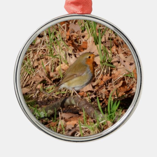 Robin RedBrust Ornament Aus Metall (Vorne)