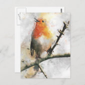 Robin RedBrust Postkarte (Vorne/Hinten)