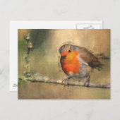 Robin RedBrust Postkarte (Vorne/Hinten)
