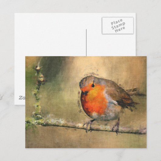 Robin RedBrust Postkarte (Vorne/Hinten)
