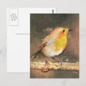 Robin RedBrust Postkarte (Vorne/Hinten)