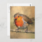 Robin RedBrust Postkarte (Vorne/Hinten)
