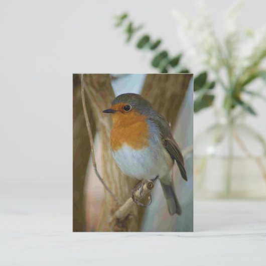 Robin RedBrust Postkarte (Stehend Vorderseite)