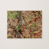 Robin RedBrust Puzzle (Horizontal)