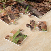Robin RedBrust Puzzle (Seite)