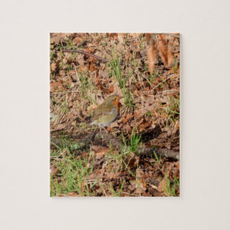 Robin RedBrust Puzzle