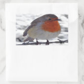 Robin RedBrust Rechteckiger Aufkleber (Tasche)