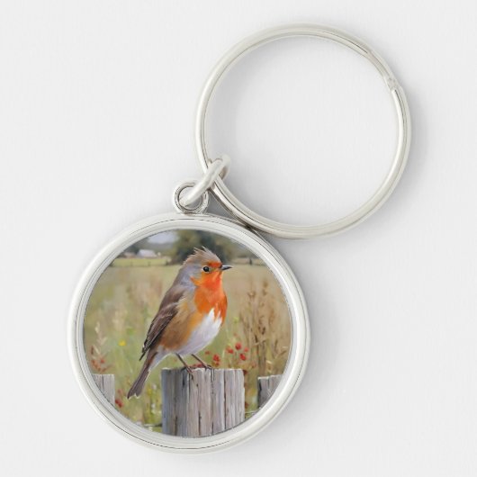 Robin RedBrust Schlüsselanhänger (Vorne)