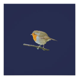 Robin RedBrustposter Poster