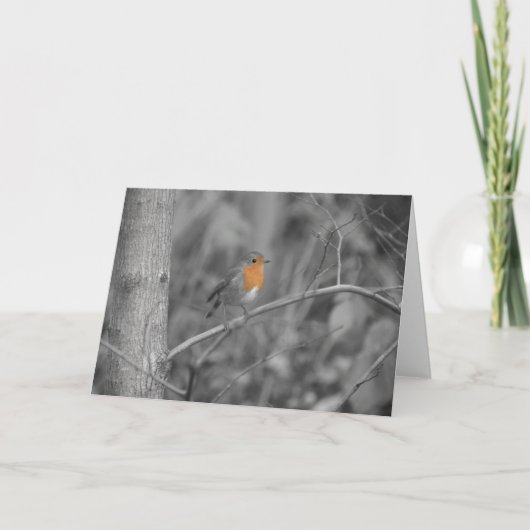 Robin RedBrustweihnachtskarte Feiertagskarte (Vorderseite)
